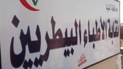 بيطريون بالشرقية مؤقتون من 6 سنوات ولم يتقاضوا سوى 100 جنيه