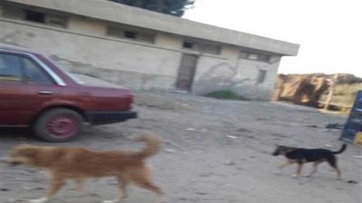 الوحدة الصحية بميت حبيش 