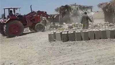 إزالة تعديات الأرض الزراعية وأملاك الدولة باللاهون