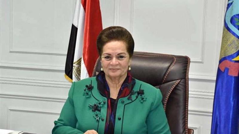 محافظ البحيرة تناقش