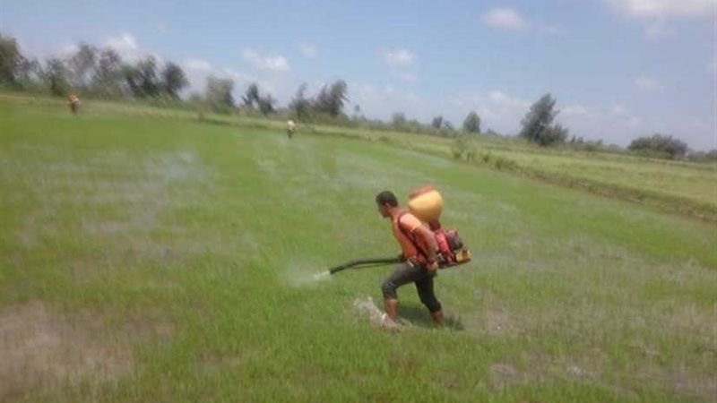 الدقهلية.. إزالة