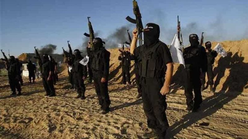 تحقيقات ولاية سيناء: