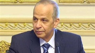 محافظ القليوبية: سرقة الكهرباء بالشوارع 