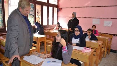 محافظ الإسماعيلية يتفقد لجان 