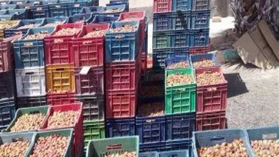 ضبط 2 طن تمور مجهولة المصدر