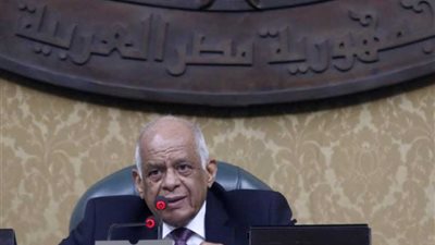 رئيس النواب: تنمية جنوب الصعيد يعقبها توطين النوبيين