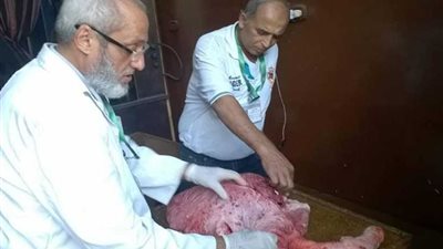 إعدام 421 كيلو أغذية فاسدة خلال حملة بمركز المنصورة