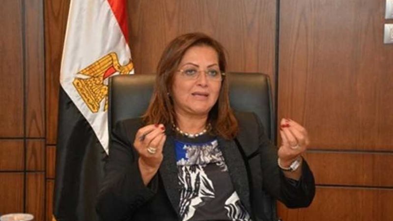 السعيد: إرسال النظام