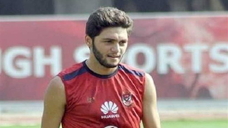 نيدفيد: إمكانيات