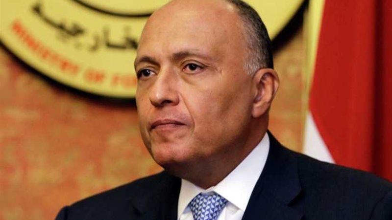 شكري: اجتماعات صيغة