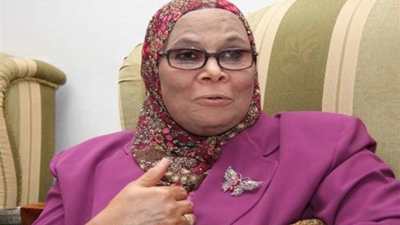 آمنة نصير: التعليم