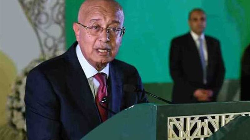 لجنة وزارية لتنظيم