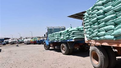 توريد 268 ألف طن قمح لشون وصوامع البحيرة