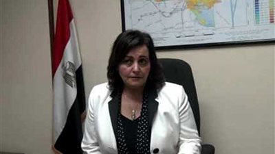 نائب وزير الزراعة: مليار جنيه لتسمين 