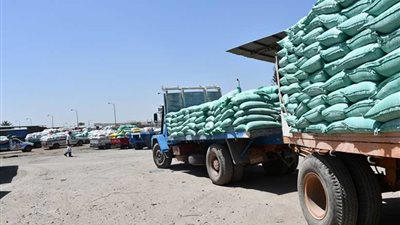 توريد 269 ألفا و632 طن قمح لشون وصوامع البحيرة