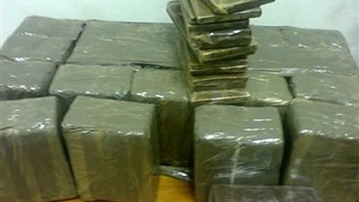 ضبط 360 جرامًا من الحشيش بحيازة عمال بالإسماعيلية