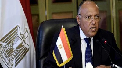 مصر تطالب بتحقيق دولي في استخدام إسرائيل الرصاص الحي ضد الفلسطينيين