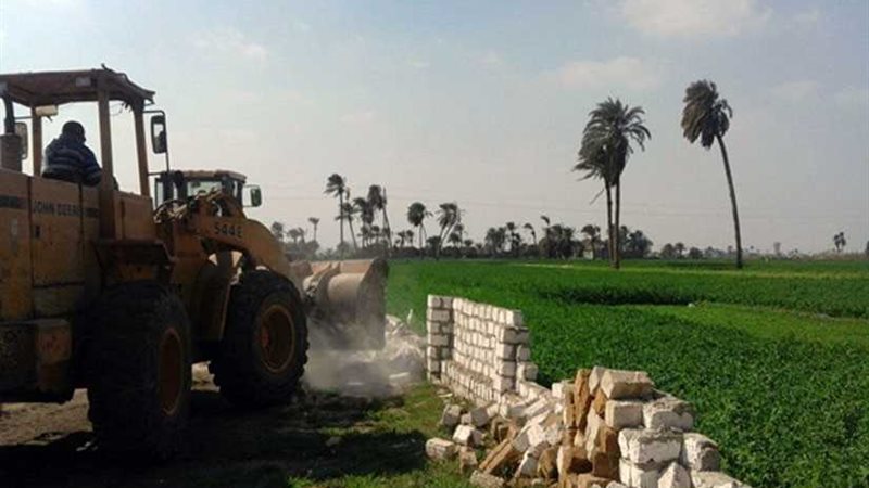 إزالة 125 حالة تعد