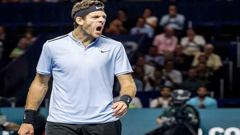 تأهل ديل بوترو وسيليتش