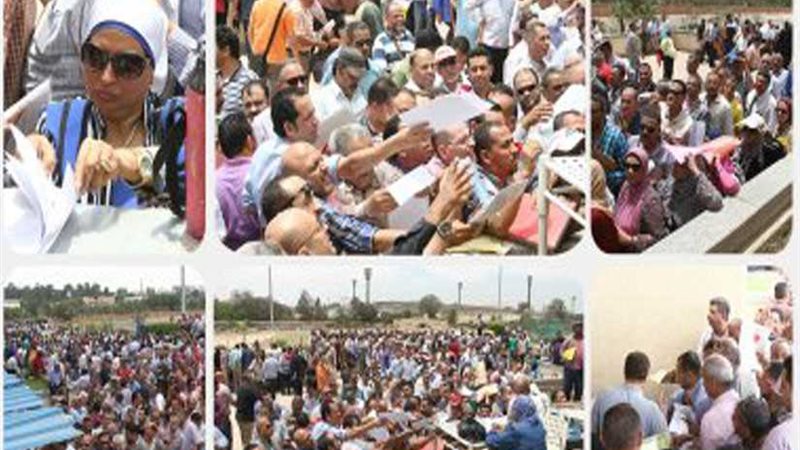 القوى العاملة تواصل