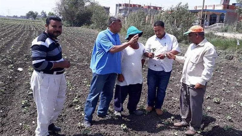 ننشر توصيات الحملة