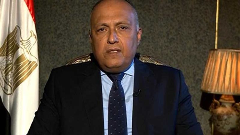 شكري يجري مباحثات