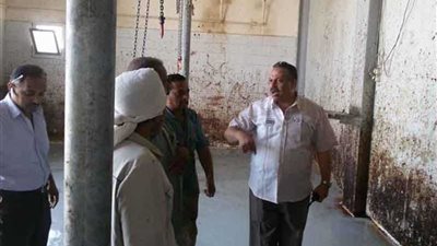 رئيس مركز أسيوط يحيل أطباء بالمجزر الآلي للتحقيق