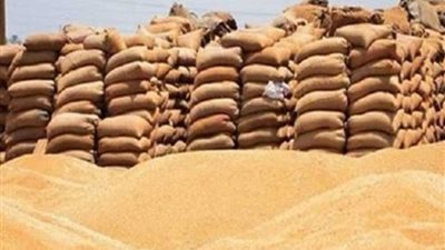 توريد 202 ألف طن قمح بالدقهلية