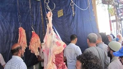 بيطري المنيا يحرر33 قضية مخالفة