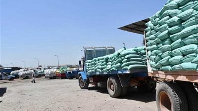 توريد 273 ألف طن قمح بالبحيرة