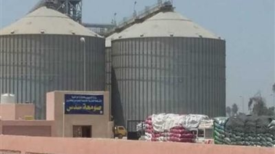 توريد 172 ألف طن قمح لشون وصوامع بني سويف