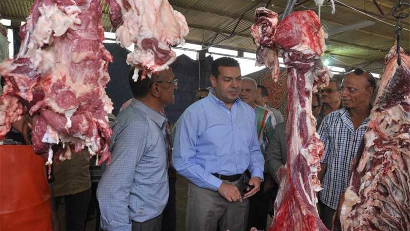 طرح 1000 رأس ماشية