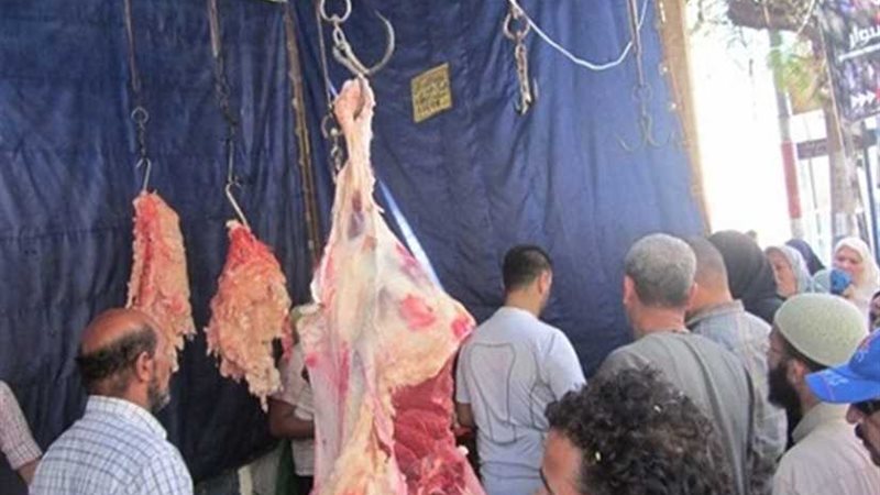 بيطري المنيا يحرر33