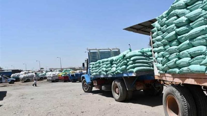 توريد 273 ألف طن