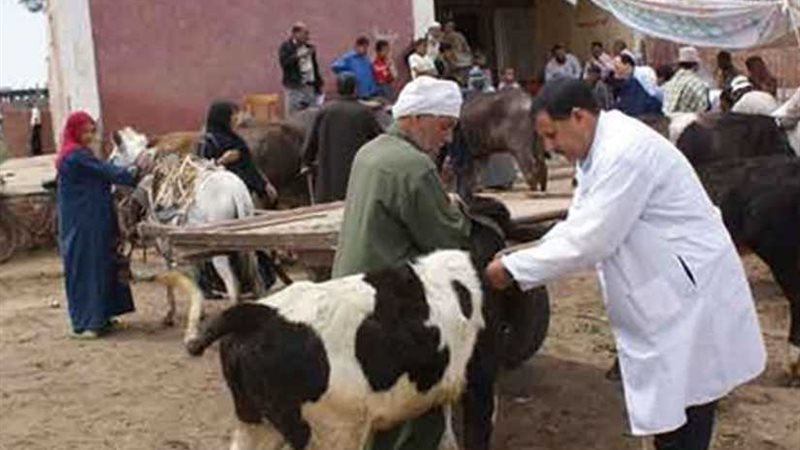 بني سويف ..تحصين