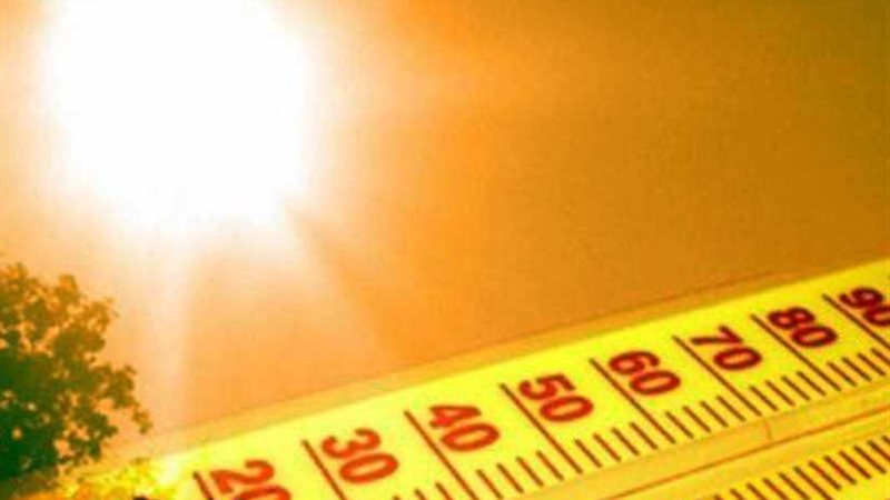 الحر يقتل 65 باكستانيا