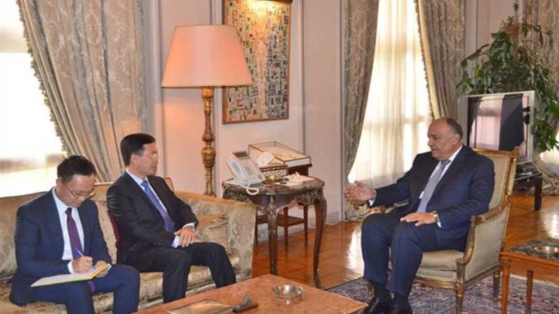 شكري يبحث مع رئيس