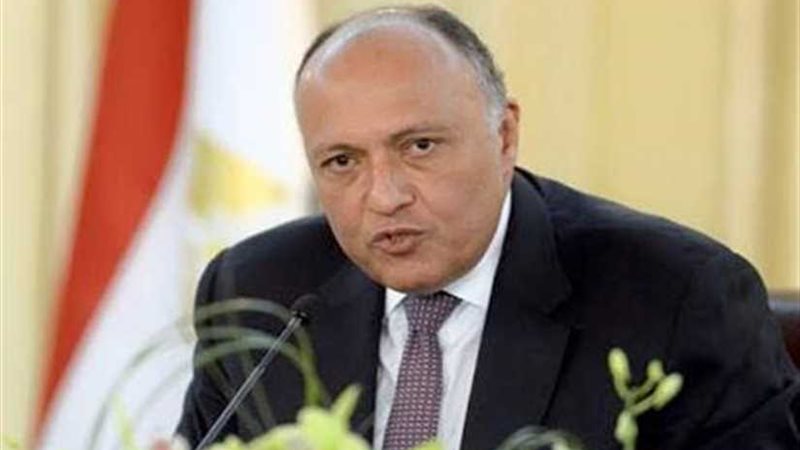 شكري يشارك في اجتماعات