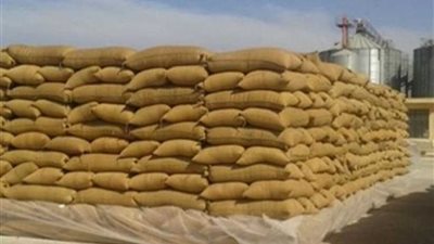 توريد 204 آلاف طن قمح بالدقهلية