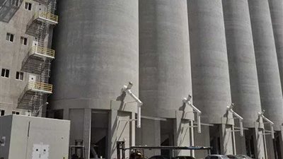 صوامع المنوفية تستقبل 118ألف طن قمح