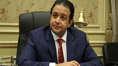 علاء عابد: الرأي العام المصري والعالمي يترقب خطاب السيسي أمام نواب الأمة ‏