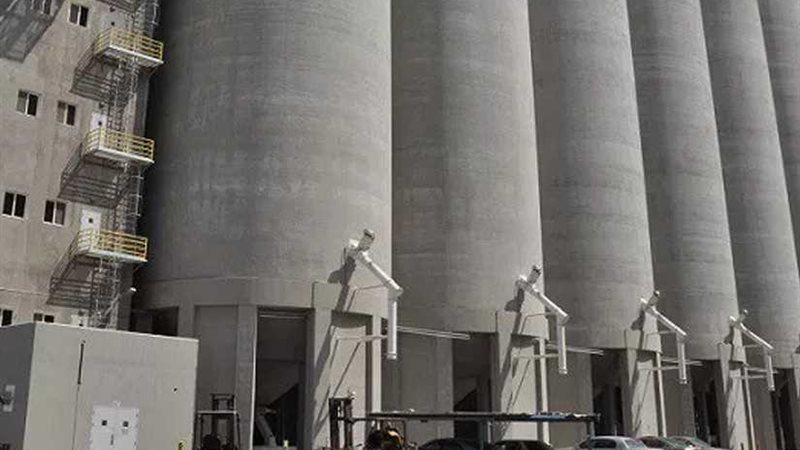 صوامع المنوفية تستقبل