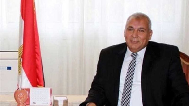 محافظ الوادي الجديد