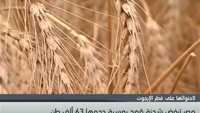 مصر ترفض شحنة قمح روسي بسبب 