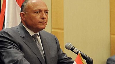 الخارجية تهيب بمراعاة المصريين في إيطاليا للقوانين الخاصة بتربية الأطفال