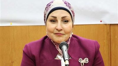 برلمانية المحافظين تطالب الحكومة بدعم المناطق الصناعية