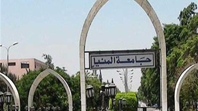 مركزان للتميز وتنمية المهارات والتوظيف بجامعة المنيا