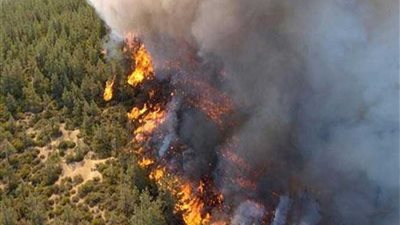 السيطرة على حريق هائل في محصول قمح بأرض زراعية بالبحيرة