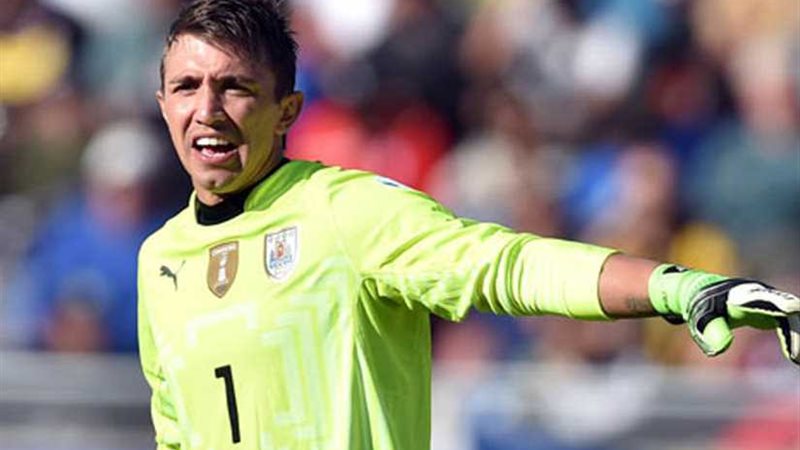 فيرناندو موسليرا