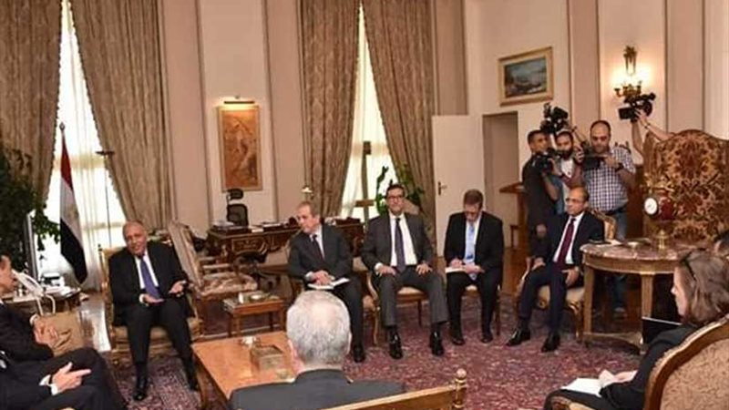 شكري يلتقي وفداً